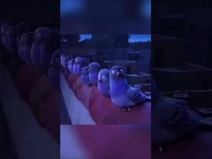 Plastic box for vegetables