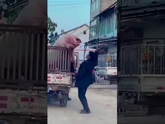 Portable Shock Racks Case Frame Waterproof 680mm 4u Rack Case Shallow